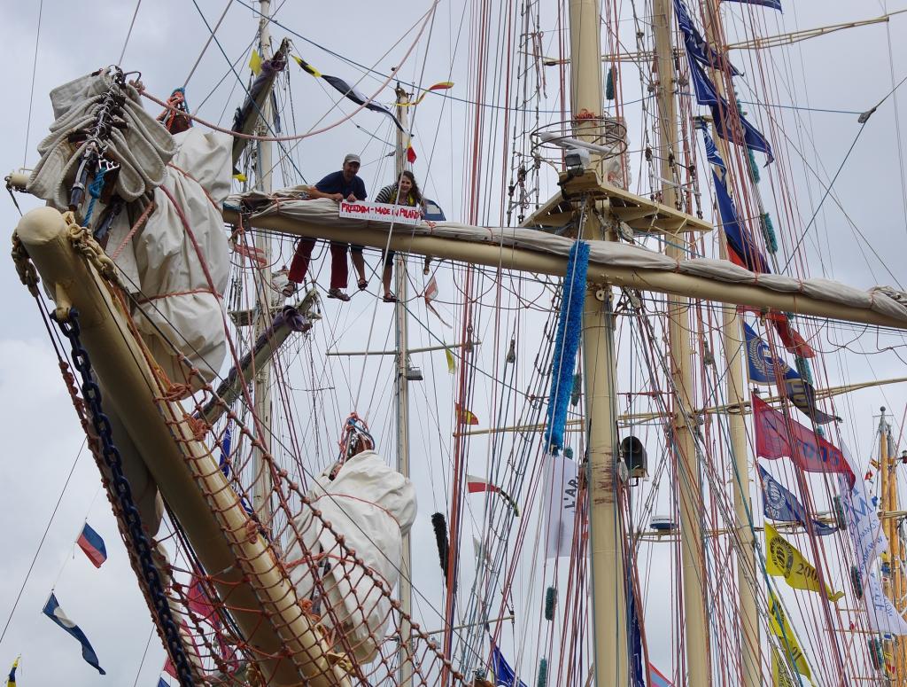 STS Pogoria - The Tall Ships' Races