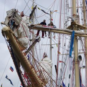 STS Pogoria - The Tall Ships' Races